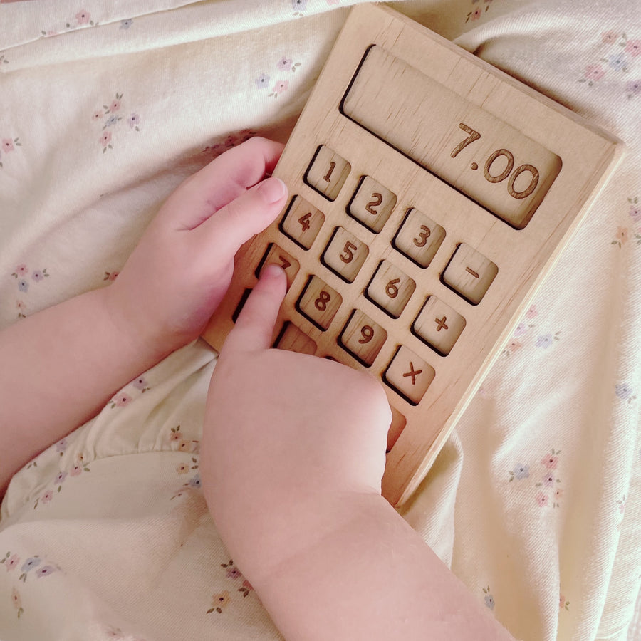 Pretend Shop Calculator 2
